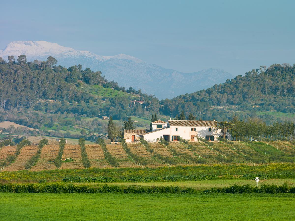 Agroturisme Gossalba Sant Joan Exterior photo